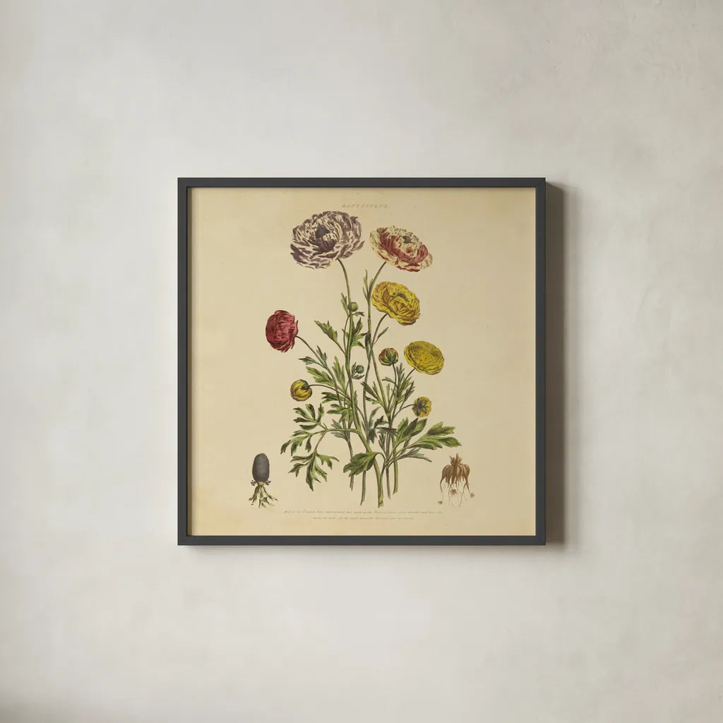 Herbed Botanical XXII Square by Wild Apple Portfolio. Shown in a sleek black glass frame for a contemporary gallery look. Available as an archival giclee rolled canvas, fine art paper, or poster print. SKU 54172a.