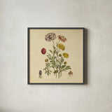 Herbed Botanical XXII Square by Wild Apple Portfolio. Shown in a sleek black glass frame for a contemporary gallery look. Available as an archival giclee rolled canvas, fine art paper, or poster print. SKU 54172a.