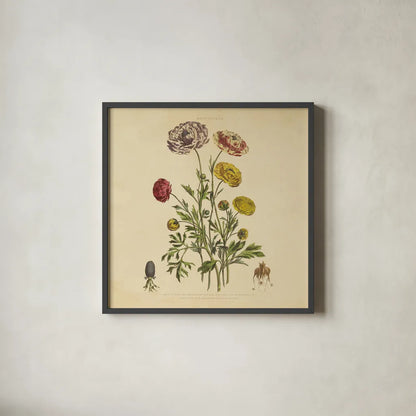 Herbed Botanical XXII Square by Wild Apple Portfolio. Shown in a sleek black glass frame for a contemporary gallery look. Available as an archival giclee rolled canvas, fine art paper, or poster print. SKU 54172a.