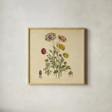 Herbed Botanical XXII Square by Wild Apple Portfolio. Shown in a natural wood glass frame for a timeless modern aesthetic. Available as an archival giclee rolled canvas, fine art paper, or poster print. SKU 54172a.
