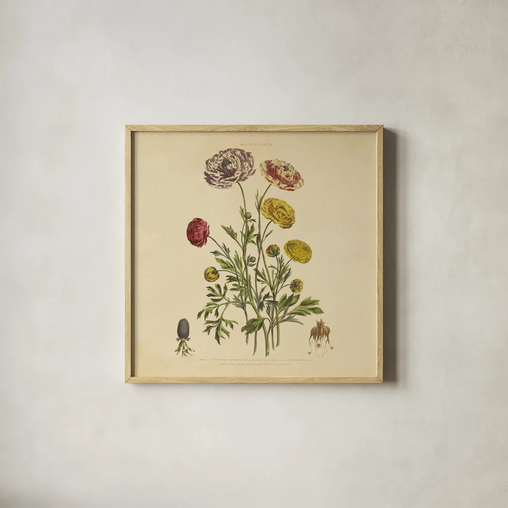 Herbed Botanical XXII Square by Wild Apple Portfolio. Shown in a natural wood glass frame for a timeless modern aesthetic. Available as an archival giclee rolled canvas, fine art paper, or poster print. SKU 54172a.