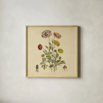 Herbed Botanical XXII Square by Wild Apple Portfolio. Shown in a natural wood glass frame for a timeless modern aesthetic. Available as an archival giclee rolled canvas, fine art paper, or poster print. SKU 54172a.
