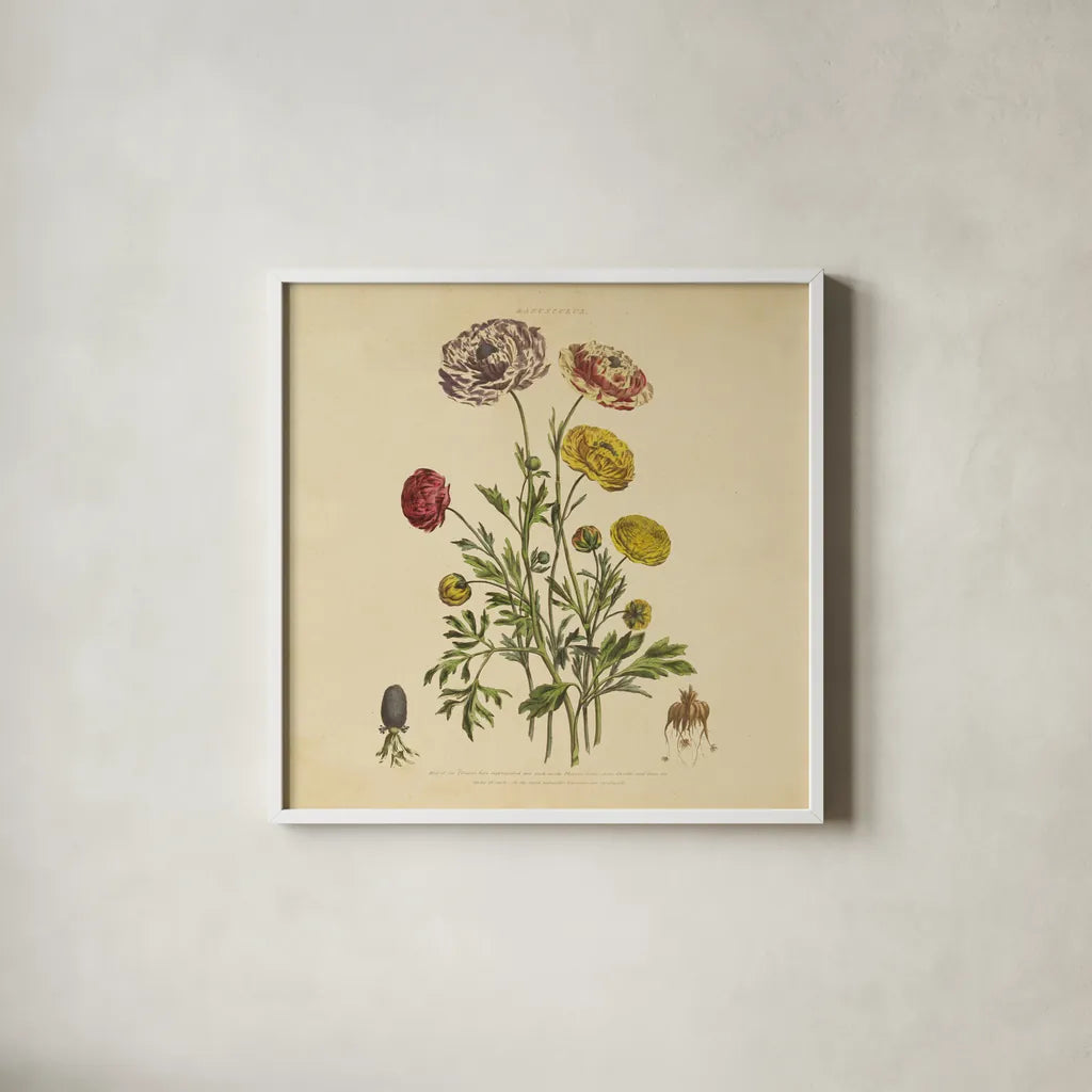 Herbed Botanical XXII Square by Wild Apple Portfolio. Shown in a crisp white glass frame for a clean and minimalist style. Available as an archival giclee rolled canvas, fine art paper, or poster print. SKU 54172a.