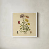 Herbed Botanical XXII Square by Wild Apple Portfolio. Shown in a crisp white glass frame for a clean and minimalist style. Available as an archival giclee rolled canvas, fine art paper, or poster print. SKU 54172a.