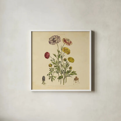 Herbed Botanical XXII Square by Wild Apple Portfolio. Shown in a crisp white glass frame for a clean and minimalist style. Available as an archival giclee rolled canvas, fine art paper, or poster print. SKU 54172a.