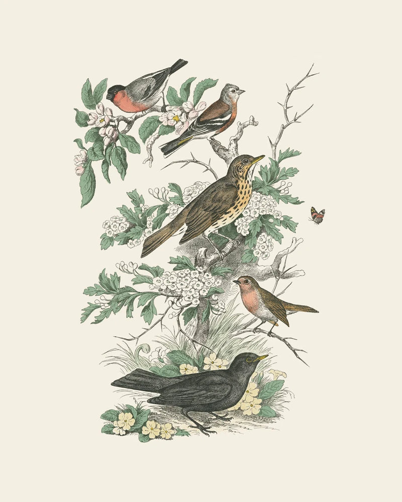 Honeybloom Bird I by Wild Apple Portfolio