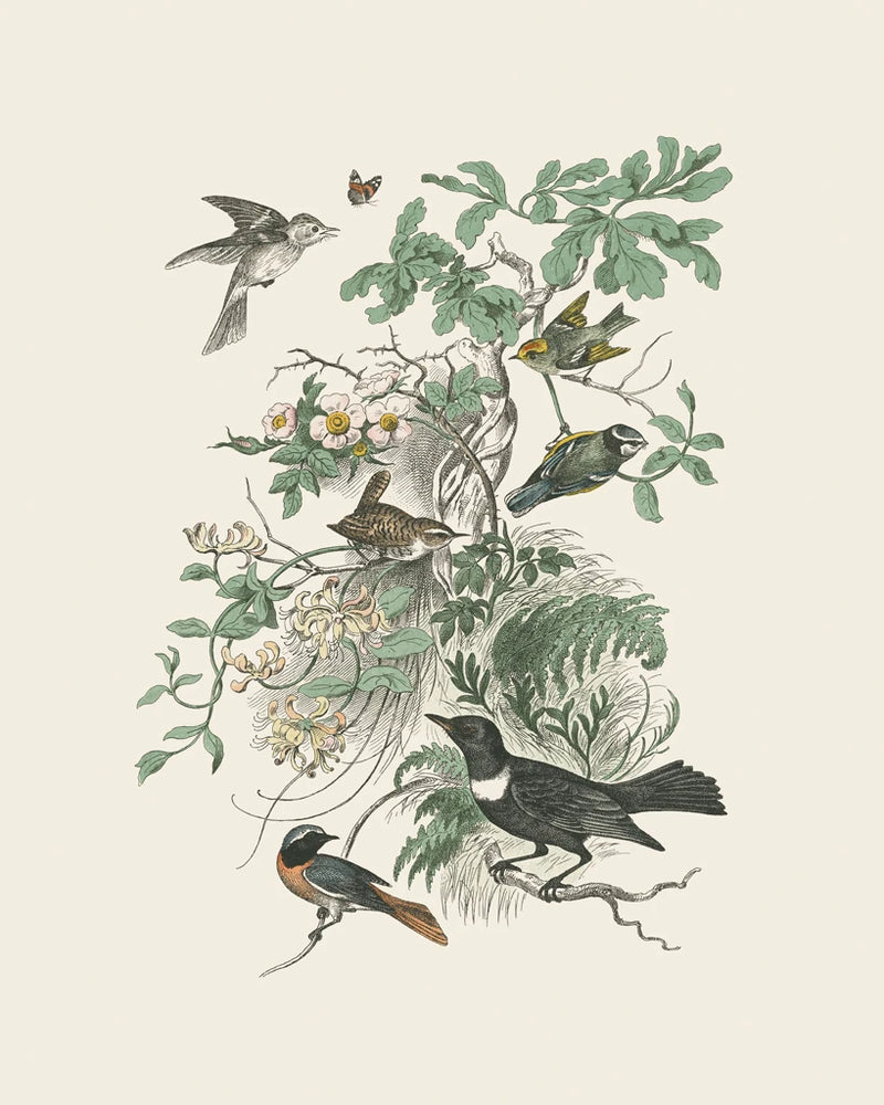 Honeybloom Bird II by Wild Apple Portfolio