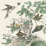 Honeybloom Bird III by Wild Apple Portfolio. SKU 89360a. Archival Giclee Fine art print for wall decor.
