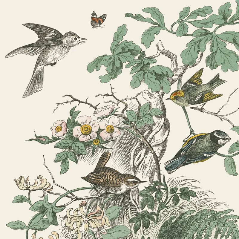 Honeybloom Bird III by Wild Apple Portfolio. SKU 89360a. Archival Giclee Fine art print for wall decor.