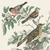 Honeybloom Bird IV by Wild Apple Portfolio. SKU 89361a. Archival Giclee Fine art print for wall decor.