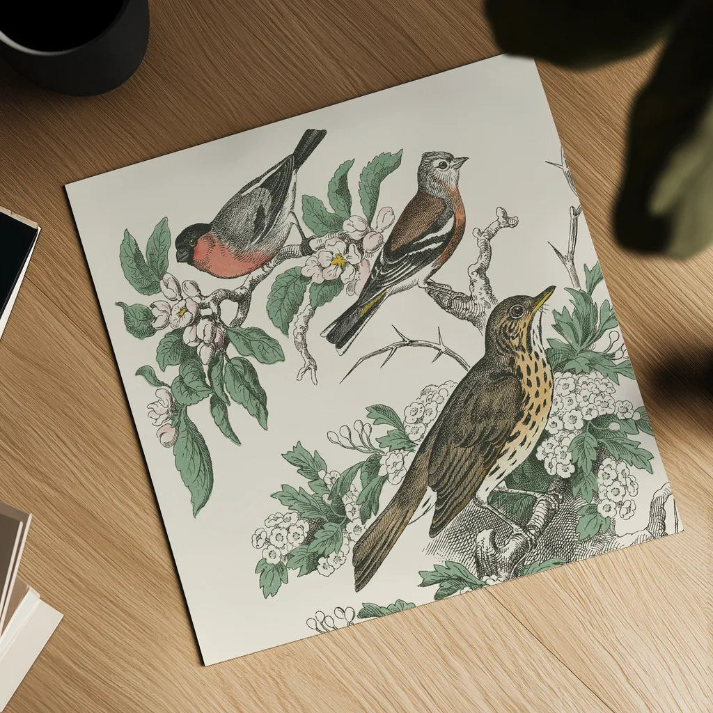 Honeybloom Bird IV by Wild Apple Portfolio. Shown as a detailed flat fine art print, highlighting archival giclee quality. Available as an archival giclee rolled canvas, fine art paper, or poster print. SKU 89361a.