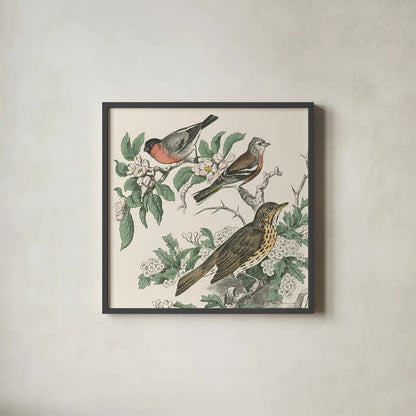 Honeybloom Bird IV by Wild Apple Portfolio. Shown in a sleek black glass frame for a contemporary gallery look. Available as an archival giclee rolled canvas, fine art paper, or poster print. SKU 89361a.