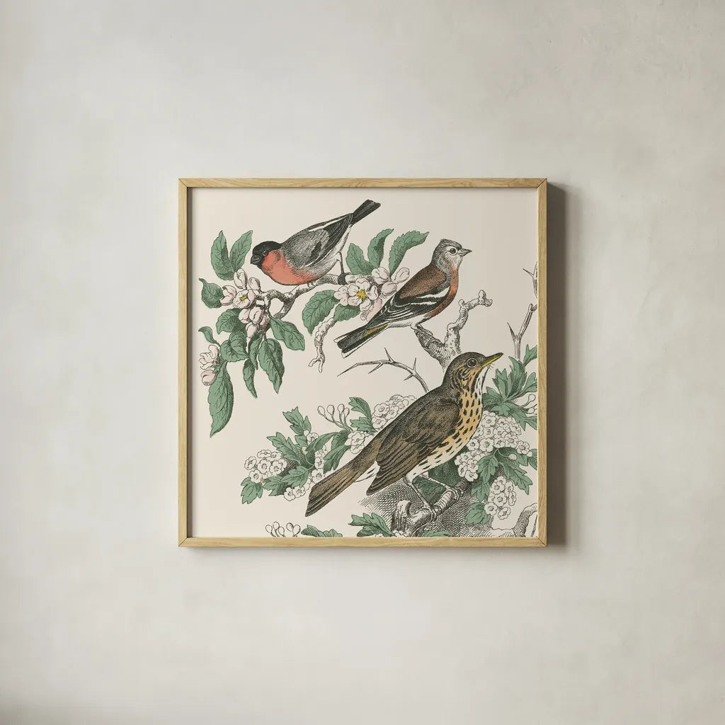 Honeybloom Bird IV by Wild Apple Portfolio. Shown in a natural wood glass frame for a timeless modern aesthetic. Available as an archival giclee rolled canvas, fine art paper, or poster print. SKU 89361a.