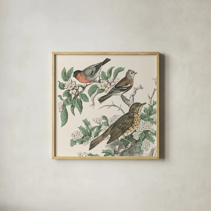 Honeybloom Bird IV by Wild Apple Portfolio. Shown in a natural wood glass frame for a timeless modern aesthetic. Available as an archival giclee rolled canvas, fine art paper, or poster print. SKU 89361a.