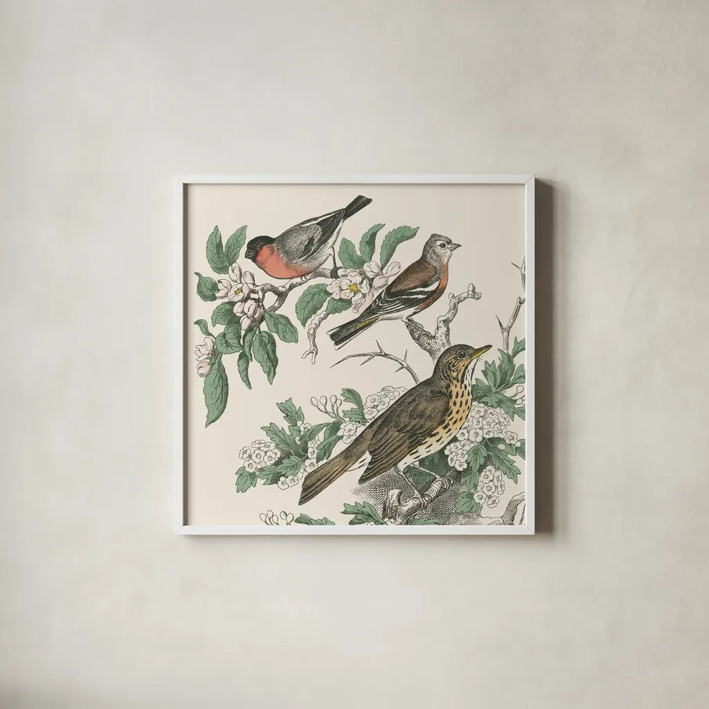Honeybloom Bird IV by Wild Apple Portfolio. Shown in a crisp white glass frame for a clean and minimalist style. Available as an archival giclee rolled canvas, fine art paper, or poster print. SKU 89361a.