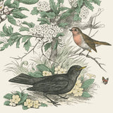 Honeybloom Bird V by Wild Apple Portfolio. SKU 89362a. Archival Giclee Fine art print for wall decor.