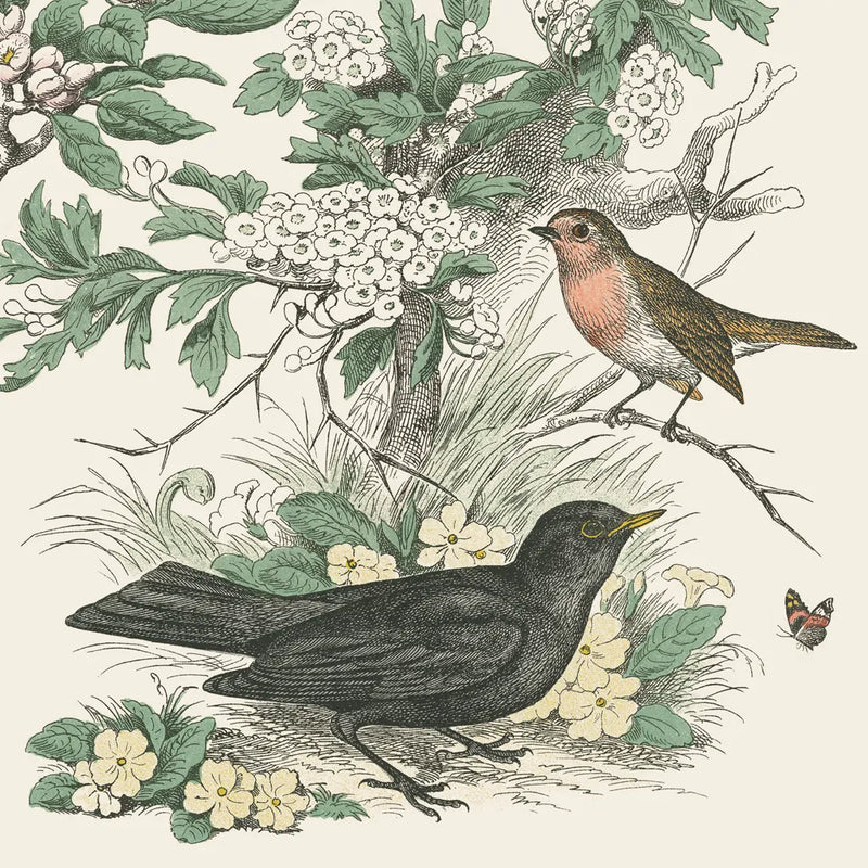 Honeybloom Bird V by Wild Apple Portfolio. SKU 89362a. Archival Giclee Fine art print for wall decor.