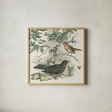 Honeybloom Bird V by Wild Apple Portfolio. Shown in a natural wood glass frame for a timeless modern aesthetic. Available as an archival giclee rolled canvas, fine art paper, or poster print. SKU 89362a.