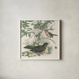 Honeybloom Bird V by Wild Apple Portfolio. Shown in a crisp white glass frame for a clean and minimalist style. Available as an archival giclee rolled canvas, fine art paper, or poster print. SKU 89362a.