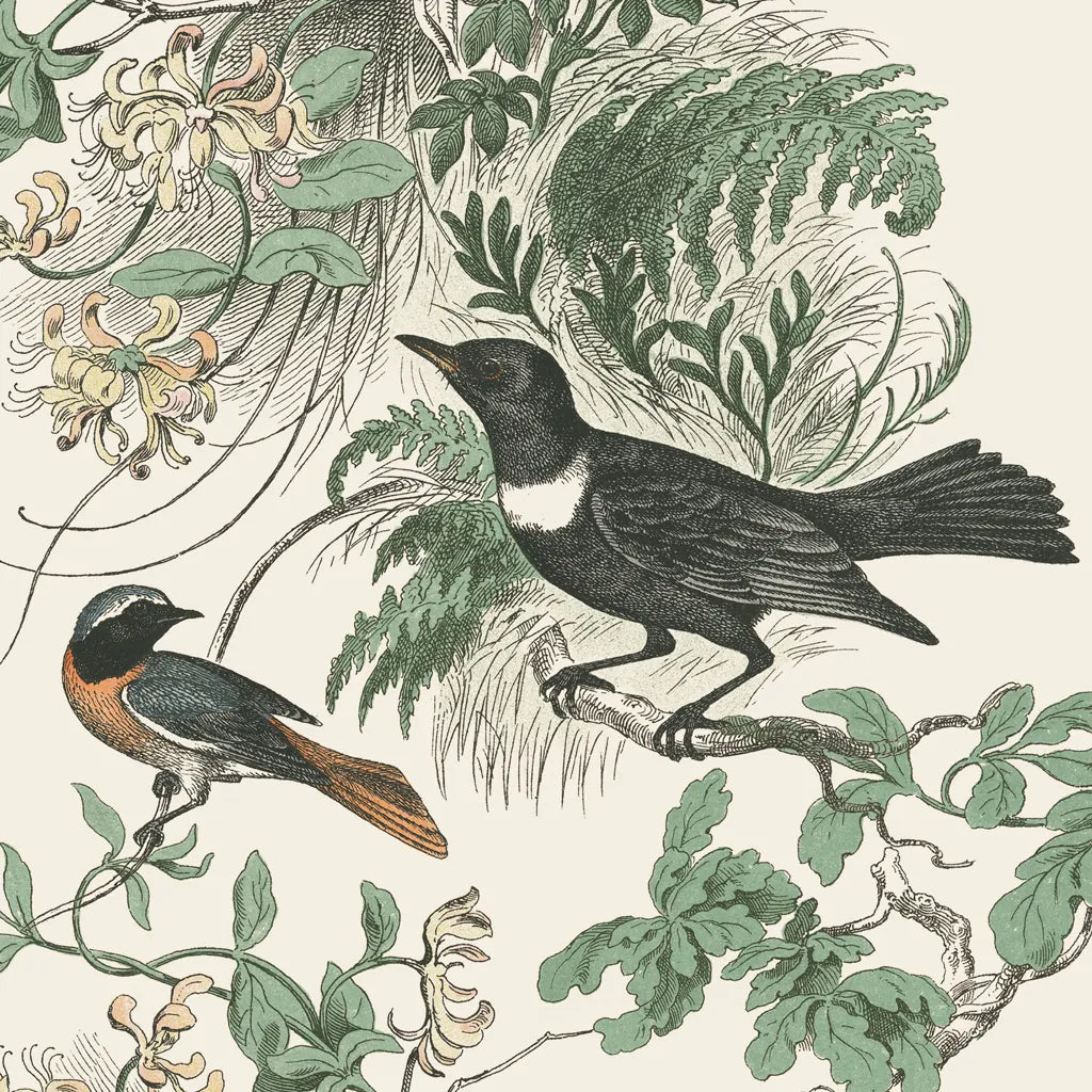 Honeybloom Bird VI by Wild Apple Portfolio. SKU 89363a. Archival Giclee Fine art print for wall decor.