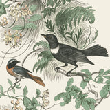 Honeybloom Bird VI by Wild Apple Portfolio. SKU 89363a. Archival Giclee Fine art print for wall decor.