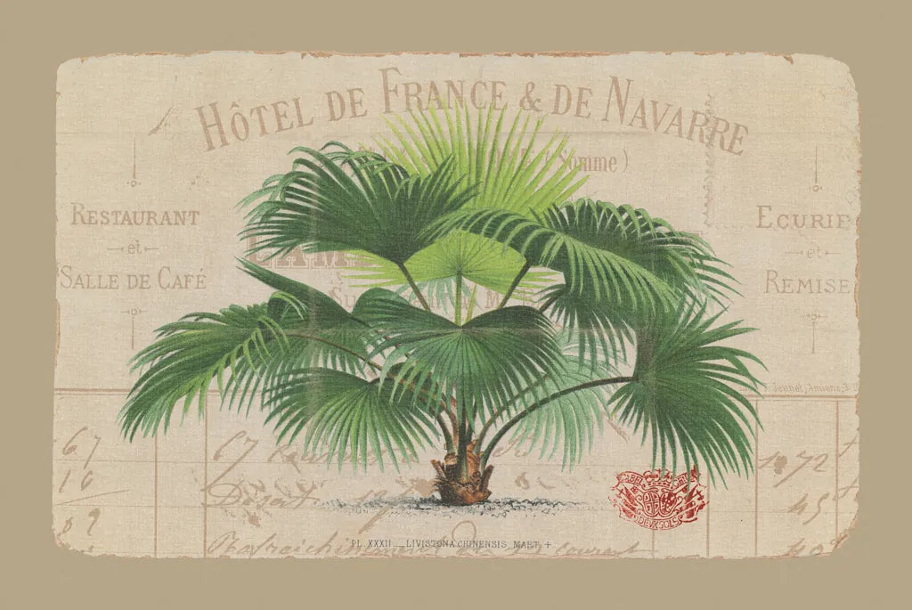 Hotel de France by Wild Apple Portfolio. SKU 9895i. Archival Giclee Fine art print for wall decor.