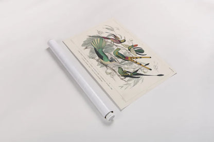 Hummingbirds Chart by Wild Apple Portfolio. shown as a rolled paper print. Available as archival giclee rolled canvas, fine art paper, or poster print. SKU 74485i.