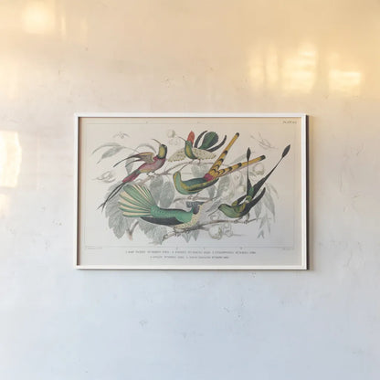 Hummingbirds Chart by Wild Apple Portfolio. shown as a paper print in a white frame. Available as a archival giclee rolled canvas, fine art paper, or poster print. SKU 74485i.