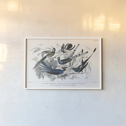 Hummingbirds Chart Providence by Wild Apple Portfolio. shown as a paper print in a white frame. Available as a archival giclee rolled canvas, fine art paper, or poster print. SKU 79438i.