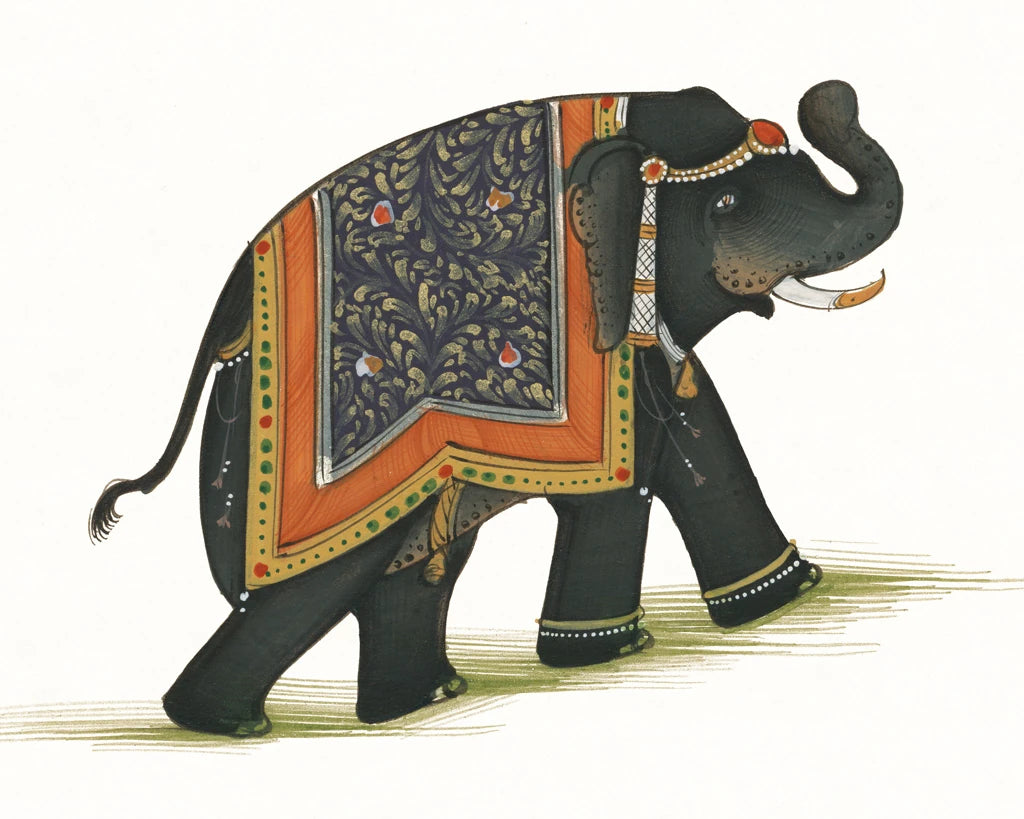 India Elephant I Light Crop by Wild Apple Portfolio