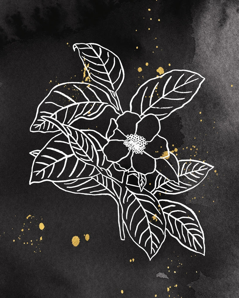Indigo Blooms I Black by Wild Apple Portfolio