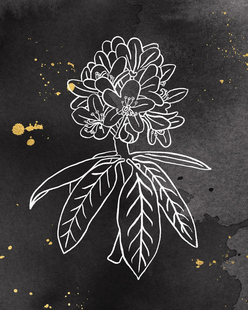 Indigo Blooms II Black by Wild Apple Portfolio