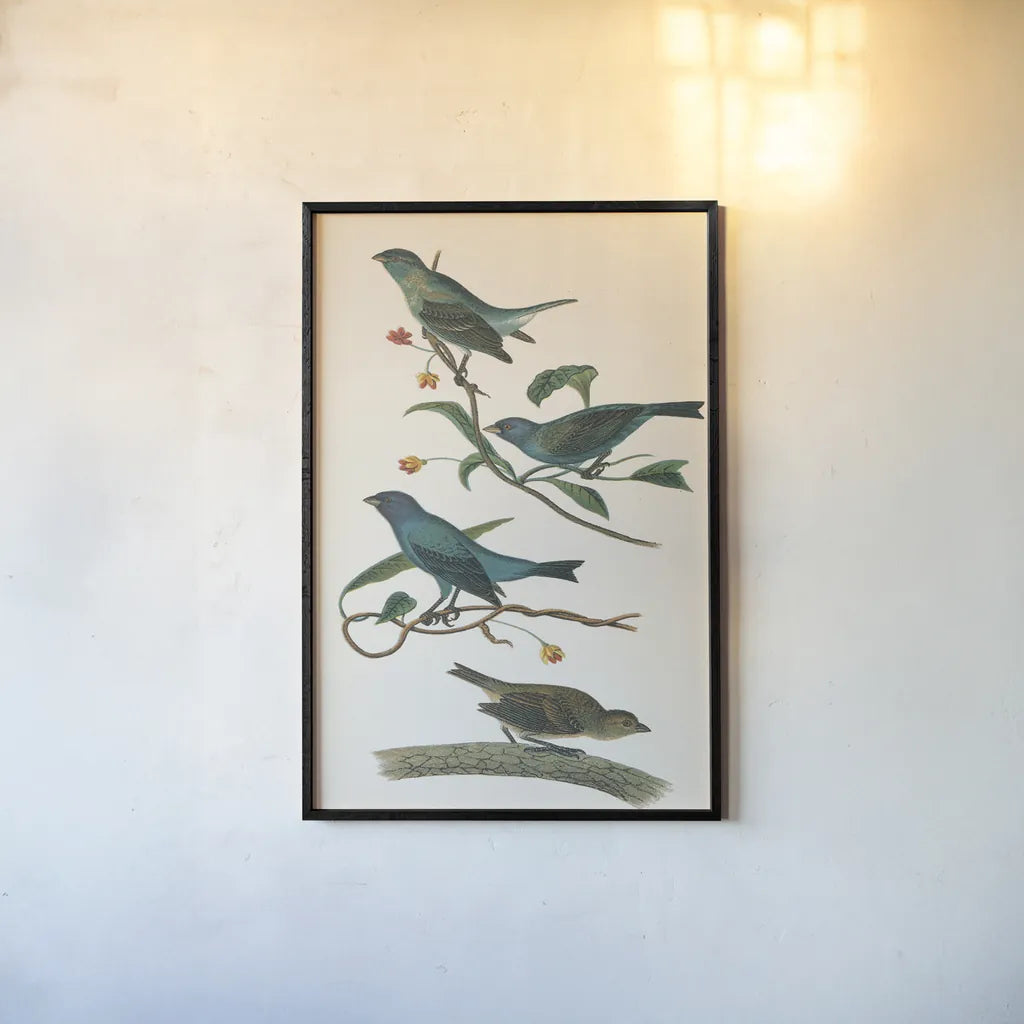 Indigo Bunting Bright by Wild Apple Portfolio. shown as a paper print in a black flame. Available as a archival giclee rolled canvas, fine art paper, or poster print. SKU 76126h.