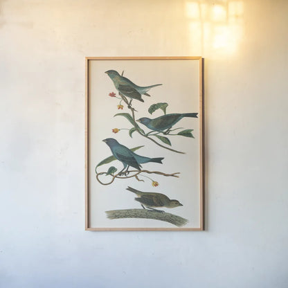 Indigo Bunting Bright by Wild Apple Portfolio. shown as a paper print in a natural frame. Available as a archival giclee rolled canvas, fine art paper, or poster print. SKU 76126h.