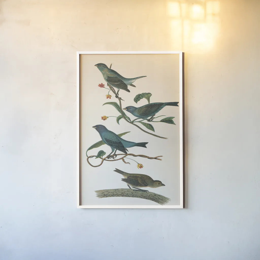 Indigo Bunting Bright by Wild Apple Portfolio. shown as a paper print in a white frame. Available as a archival giclee rolled canvas, fine art paper, or poster print. SKU 76126h.