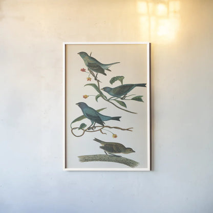 Indigo Bunting Bright by Wild Apple Portfolio. shown as a paper print in a white frame. Available as a archival giclee rolled canvas, fine art paper, or poster print. SKU 76126h.