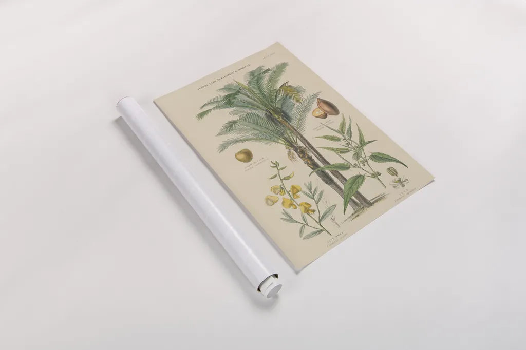 Industrial Trees by Wild Apple Portfolio. shown as a rolled paper print. Available as archival giclee rolled canvas, fine art paper, or poster print. SKU 52061h.