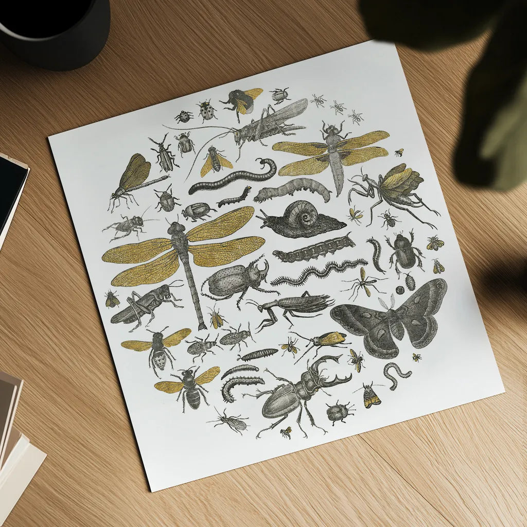Insect Circle I by Wild Apple Portfolio. Shown as a detailed flat fine art print, highlighting archival giclee quality. Available as an archival giclee rolled canvas, fine art paper, or poster print. SKU 18664a.