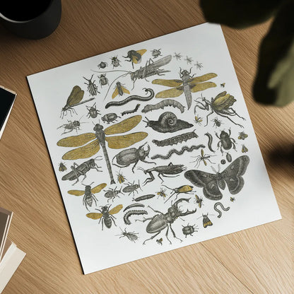 Insect Circle I by Wild Apple Portfolio. Shown as a detailed flat fine art print, highlighting archival giclee quality. Available as an archival giclee rolled canvas, fine art paper, or poster print. SKU 18664a.