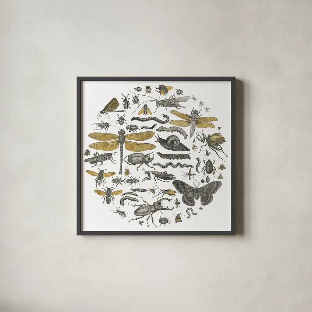 Insect Circle I by Wild Apple Portfolio. Shown in a sleek black glass frame for a contemporary gallery look. Available as an archival giclee rolled canvas, fine art paper, or poster print. SKU 18664a.