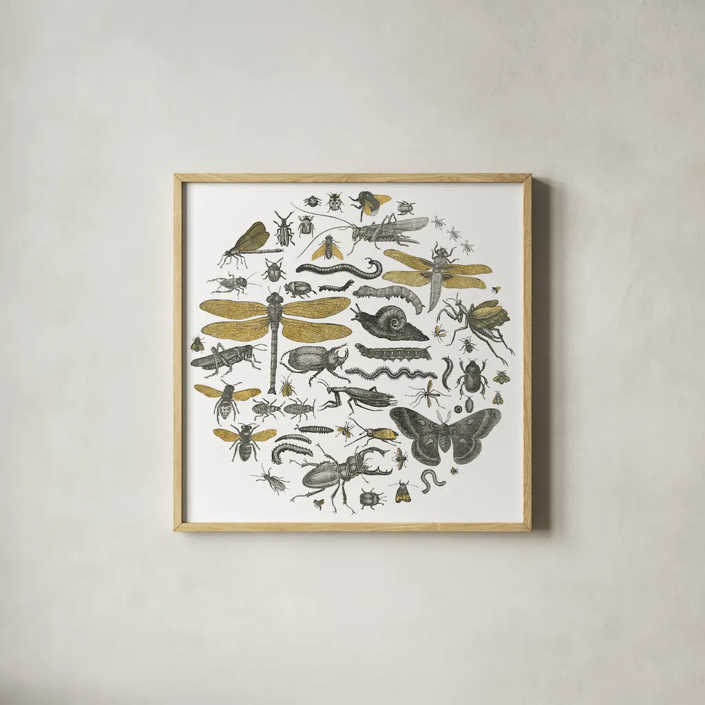Insect Circle I by Wild Apple Portfolio. Shown in a natural wood glass frame for a timeless modern aesthetic. Available as an archival giclee rolled canvas, fine art paper, or poster print. SKU 18664a.