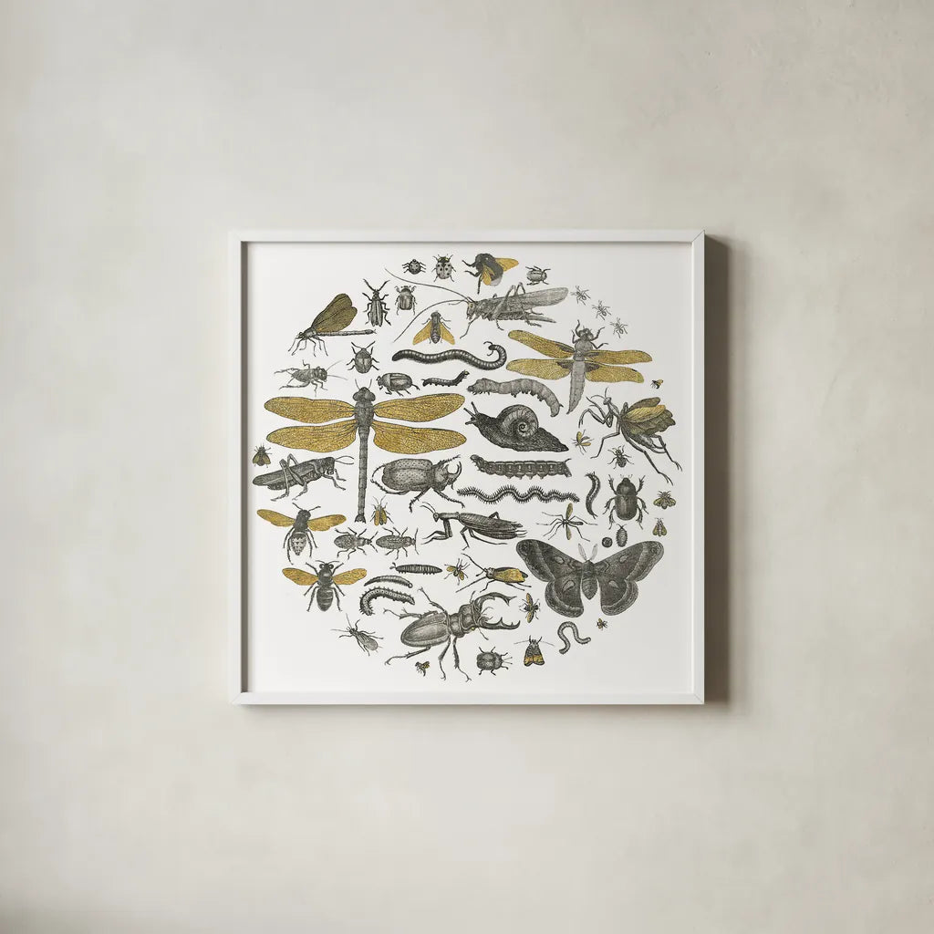 Insect Circle I by Wild Apple Portfolio. Shown in a crisp white glass frame for a clean and minimalist style. Available as an archival giclee rolled canvas, fine art paper, or poster print. SKU 18664a.