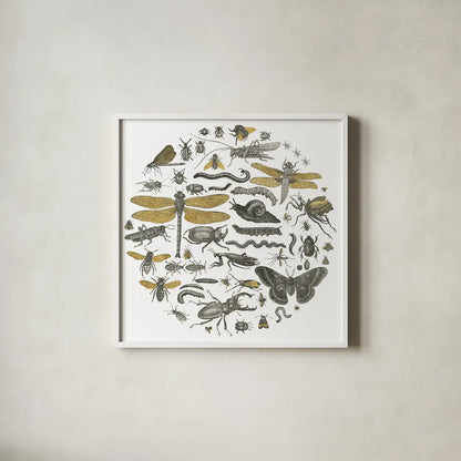 Insect Circle I by Wild Apple Portfolio. Shown in a crisp white glass frame for a clean and minimalist style. Available as an archival giclee rolled canvas, fine art paper, or poster print. SKU 18664a.