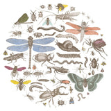 Insect Circle I Bright by Wild Apple Portfolio. SKU 42866a. Archival Giclee Fine art print for wall decor.