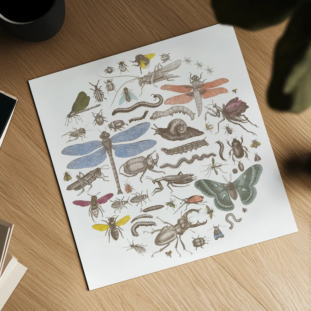 Insect Circle I Bright by Wild Apple Portfolio. Shown as a detailed flat fine art print, highlighting archival giclee quality. Available as an archival giclee rolled canvas, fine art paper, or poster print. SKU 42866a.