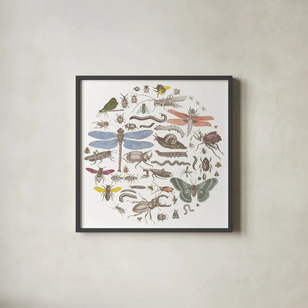 Insect Circle I Bright by Wild Apple Portfolio. Shown in a sleek black glass frame for a contemporary gallery look. Available as an archival giclee rolled canvas, fine art paper, or poster print. SKU 42866a.