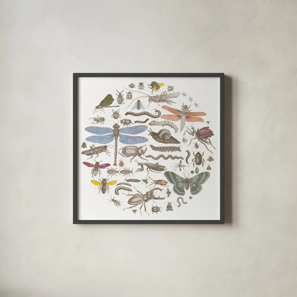 Insect Circle I Bright by Wild Apple Portfolio. Shown in a sleek black glass frame for a contemporary gallery look. Available as an archival giclee rolled canvas, fine art paper, or poster print. SKU 42866a.