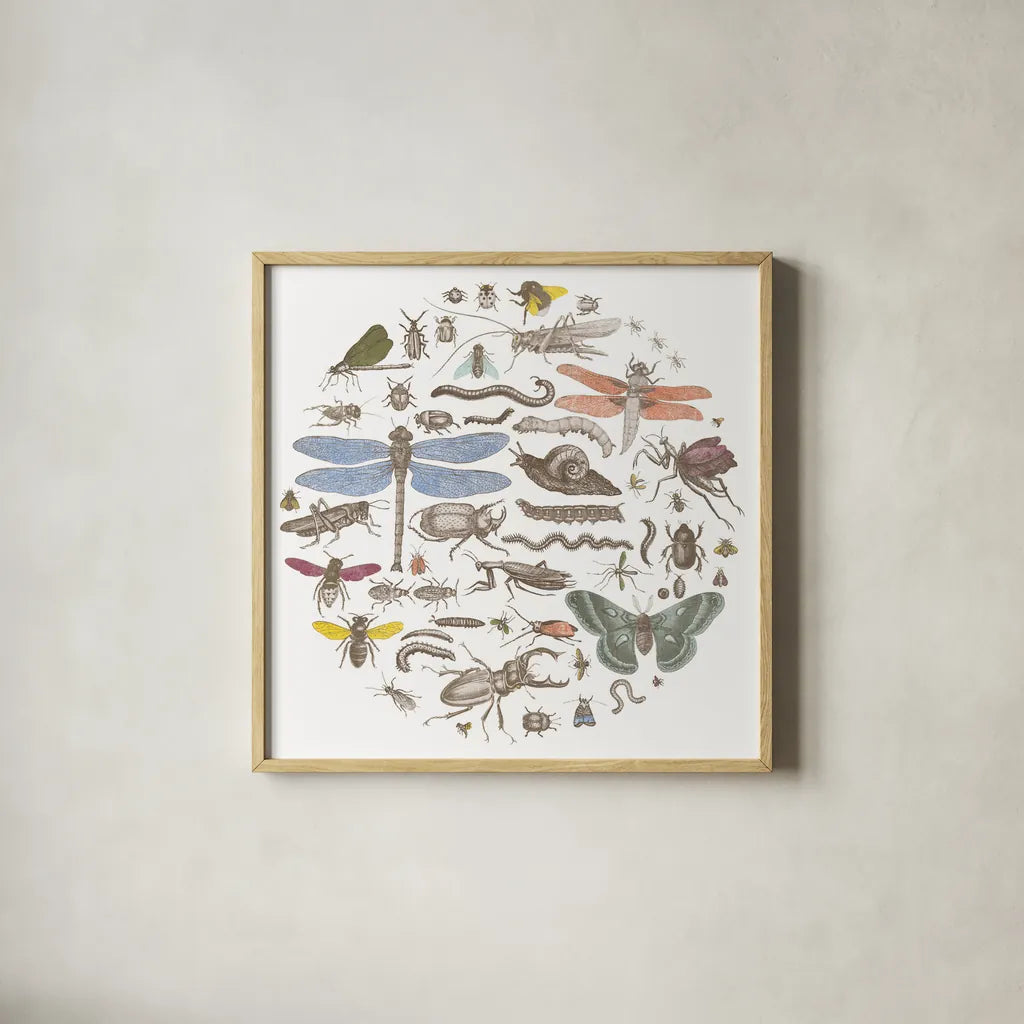 Insect Circle I Bright by Wild Apple Portfolio. Shown in a natural wood glass frame for a timeless modern aesthetic. Available as an archival giclee rolled canvas, fine art paper, or poster print. SKU 42866a.