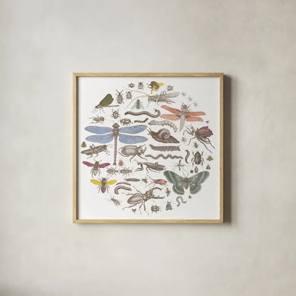 Insect Circle I Bright by Wild Apple Portfolio. Shown in a natural wood glass frame for a timeless modern aesthetic. Available as an archival giclee rolled canvas, fine art paper, or poster print. SKU 42866a.