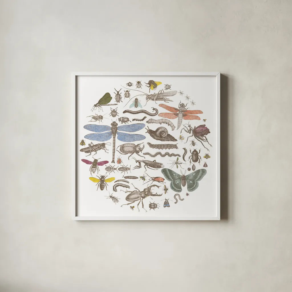 Insect Circle I Bright by Wild Apple Portfolio. Shown in a crisp white glass frame for a clean and minimalist style. Available as an archival giclee rolled canvas, fine art paper, or poster print. SKU 42866a.